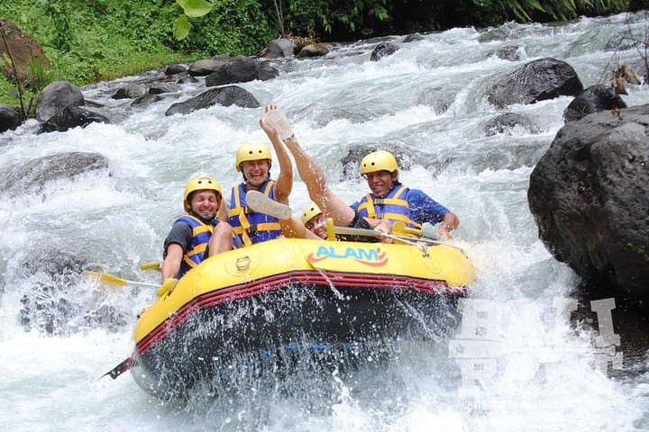 Combination Heaven Gate, Rafting, & Swing All Includes — photo 1 of 6