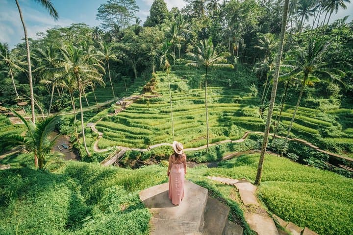 Private Ubud Highlight Full Day Tour with English Speaking Driver — photo 1 of 4
