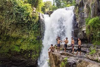 Ubud Full Day Tour