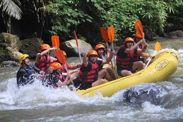 Rafting Swing Monkey Forest And Waterfall Tour All Inclusive — photo 1 of 16