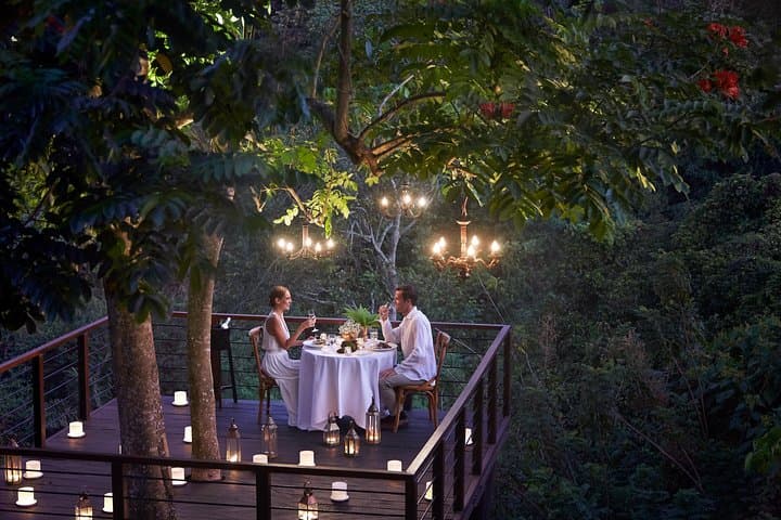 Forest Dining at Tree Deck overlooking lush valley of Ubud — photo 1 of 6