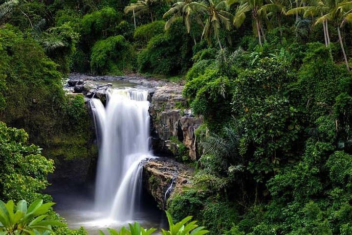 Ubud Waterfall Tour — photo 1 of 8