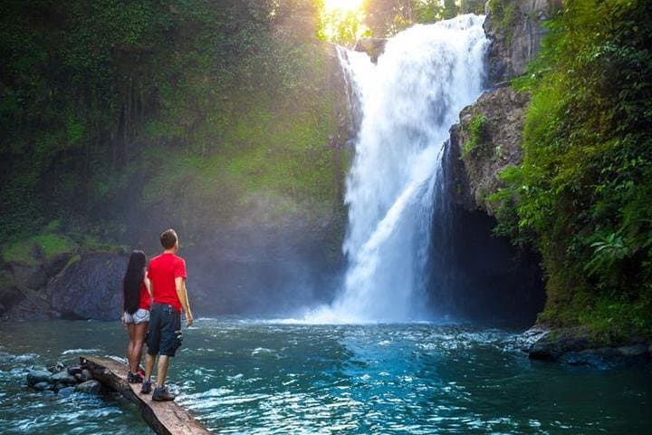 Bali Elephant Cave, Ubud, and Waterfall Private Tour with Lunch — photo 1 of 9