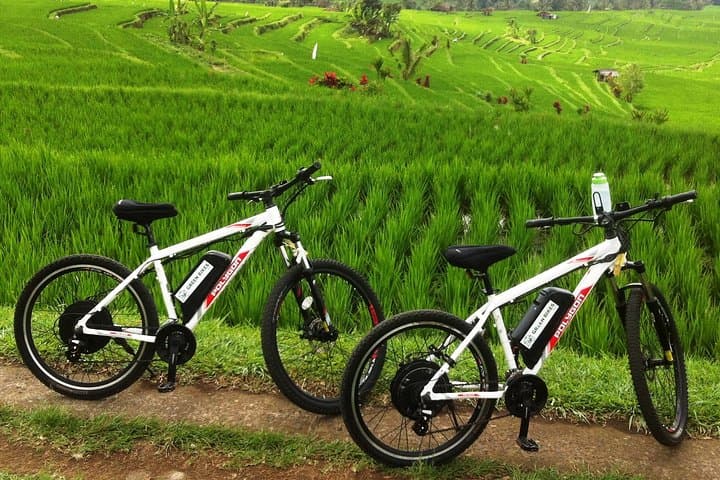 Jatiluwih E-bike — photo 1 of 3