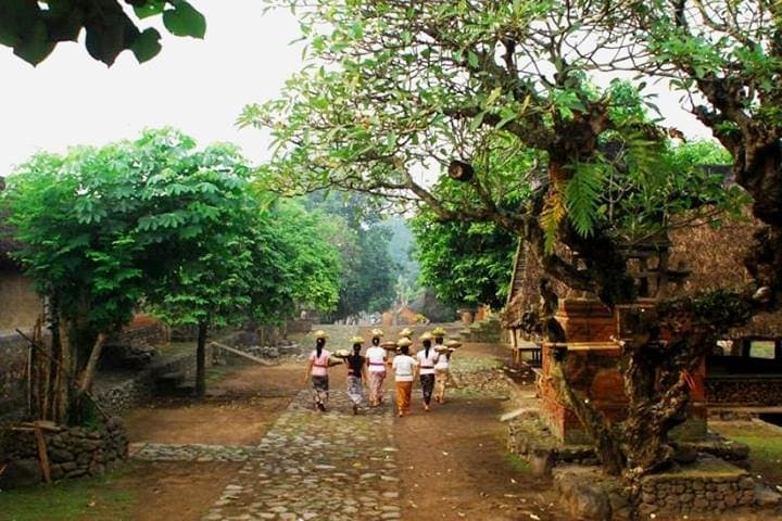 A Cultural Journey In East Bali: Bali Aga Trekking Tour — photo 1 of 15