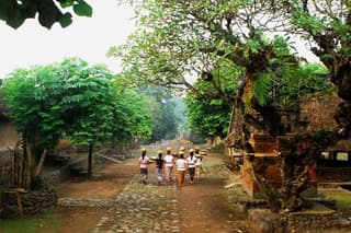 A Cultural Journey In East Bali: Bali Aga Trekking Tour