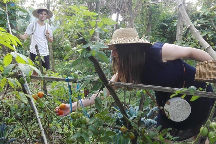 Balinese Cooking Class at Organic Farm — photo 1 of 13