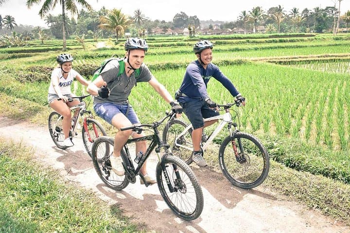 Kintamani Downhill Bike Tour — photo 1 of 7