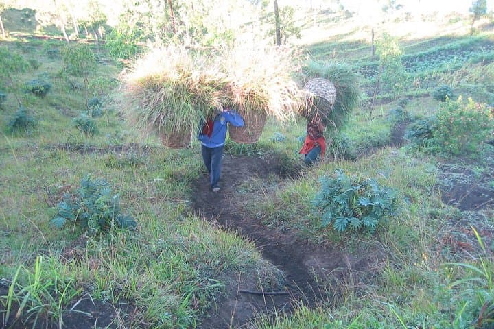 Batur Caldera Sunrise Trekking — photo 1 of 11