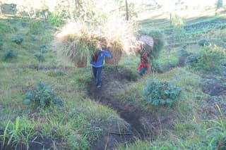 Batur Caldera Sunrise Trekking