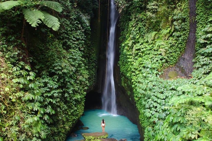 Private Tour: Leke-Leke Waterfall, Handara gate & Iconic Temples — photo 1 of 8
