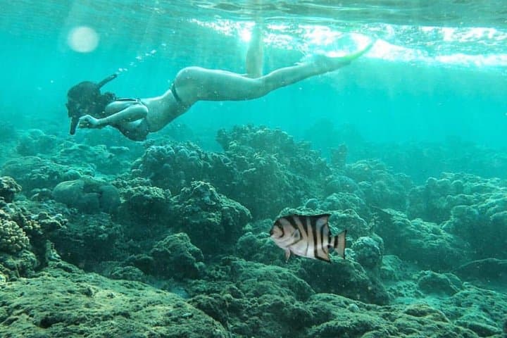 Amazing Bali Snorkeling At Blue Lagoon All Inclusive — photo 1 of 9