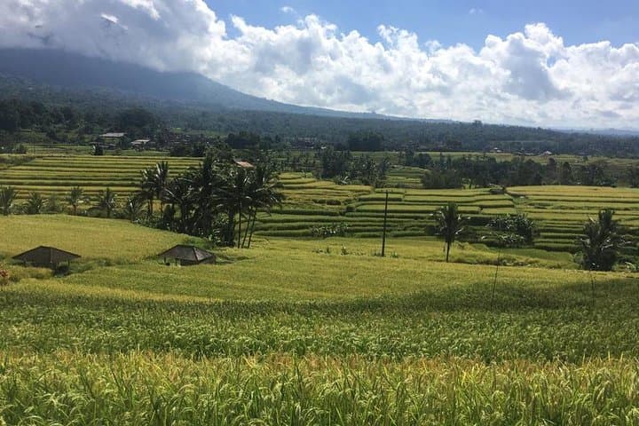UNESCO World Heritage Tour — photo 1 of 9