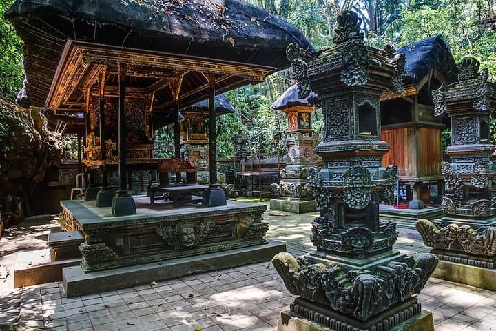 Ubud Sacred Monkey Forest & Art Village Tour — photo 1 of 12