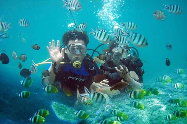 Scuba Diving - Parasailing - Banana Boat - All Inclusive with Hotel Transfer — photo 1 of 9