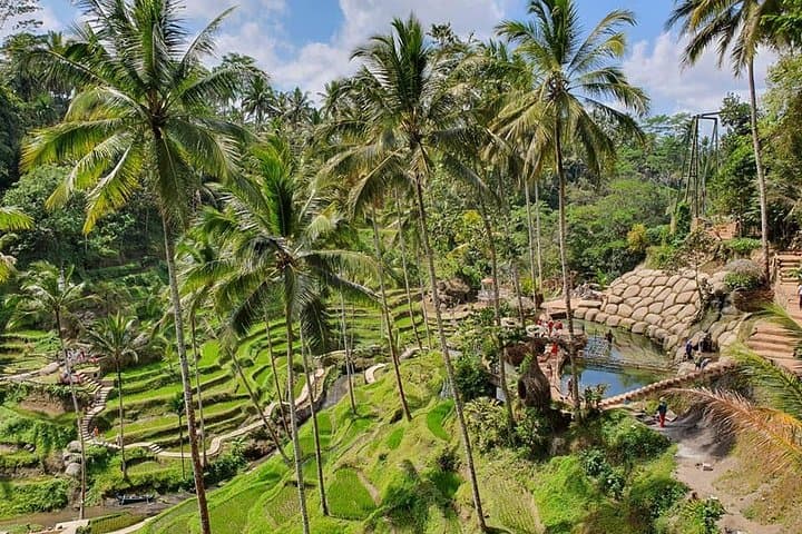 All Inclusive Ubud Experience — photo 1 of 11