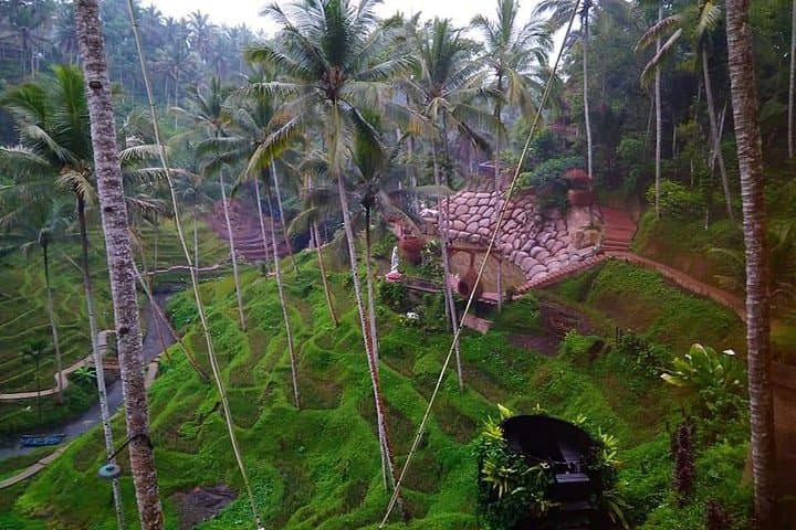 All Inclusive "Ubud ATV Ride, Rice terrace view & Ubud Swing — photo 1 of 9