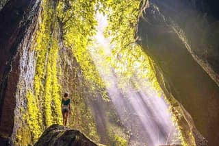 Ubud Swing, Rice Terrace and Waterfall Highlights Tour