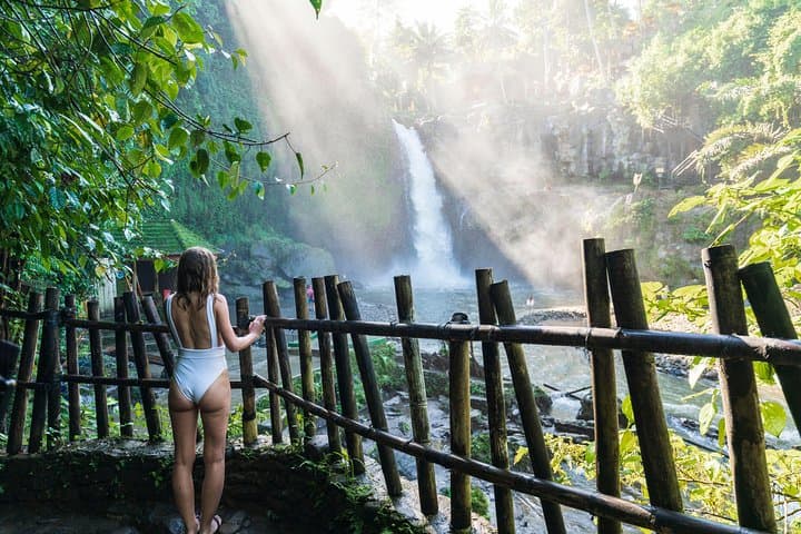 Private Tour: Ubud Highlights — photo 1 of 14
