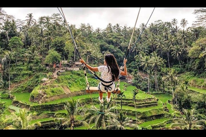 Bali: Swing And Ubud Tour — photo 1 of 9