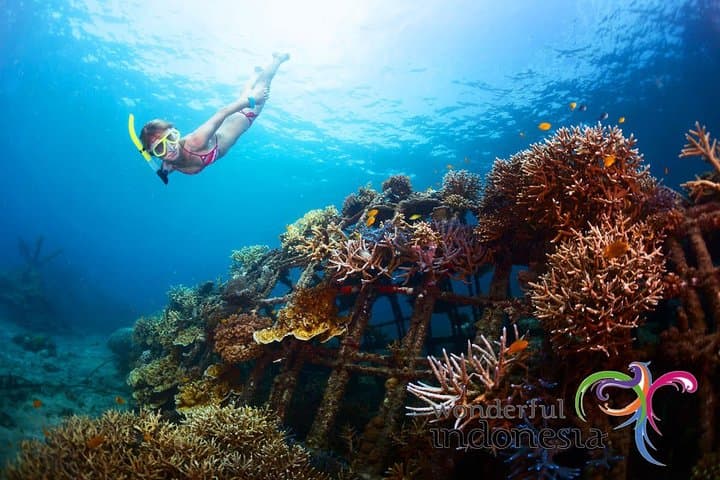 Have fun 1 day in Nusa Penida: snorkeling, kelingking & broken beach incl lunch — photo 1 of 12