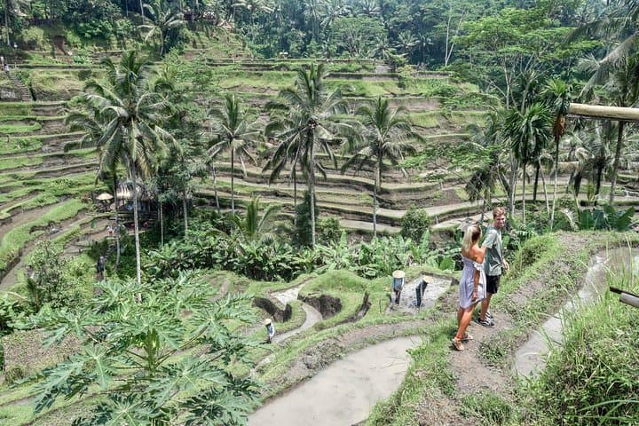 All BEST NATURE, Culture and Heritage: Private Tour in UBUD — photo 1 of 8