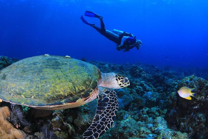 Discover Scuba Diving — photo 1 of 6