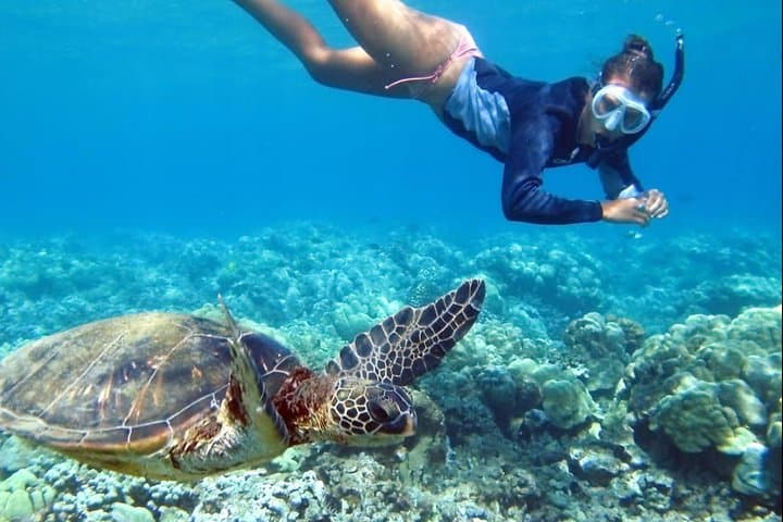 All INCLUSIVE Bali snorkeling at blue lagoon and tanjung jepun — photo 1 of 10
