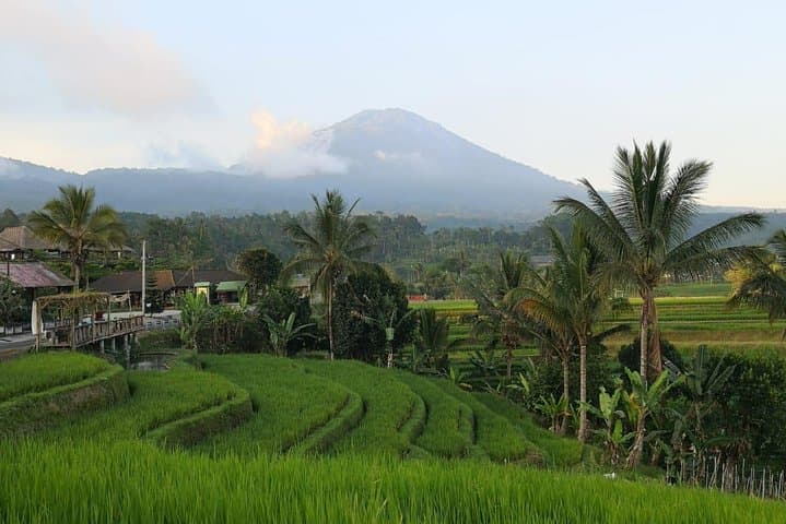 Shared Tour: Jatiluwih Rice Terraces - Ulun Danu Temple - Banyumala Waterfalls — photo 1 of 9