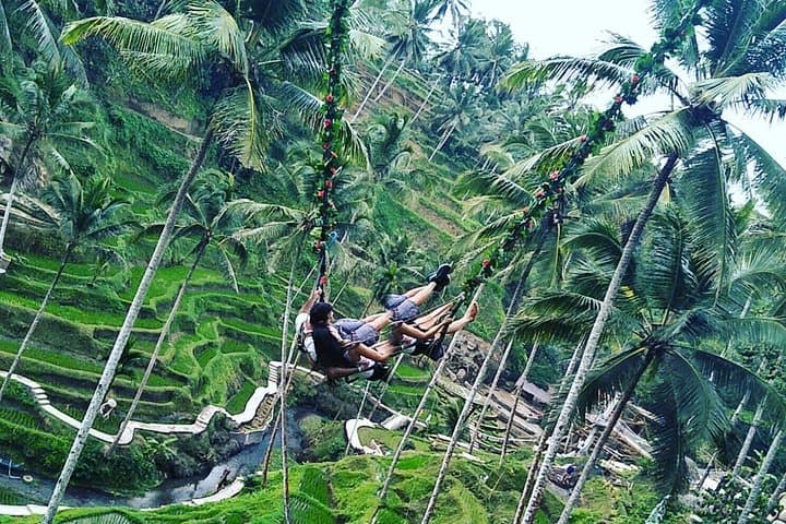 Jungle Swing & White Water Rafting Experience — photo 1 of 3