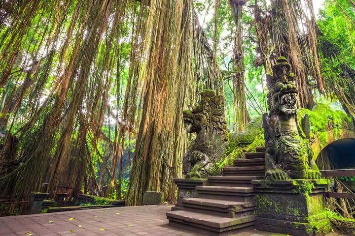 Ubud Holy Spring Temple Blissful Cleansing — photo 1 of 9