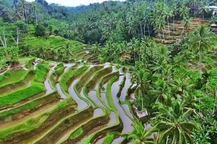 2 Days Experience Bali: Most Popular Tour — photo 1 of 22