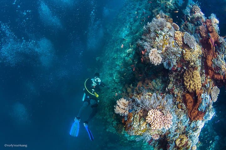 Bali Diving Day Trip-Manta Point/Tulamben Shipwreck-Fun Dive — photo 1 of 14
