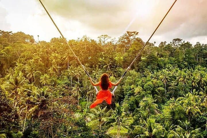 Bali Swing Experience and Ubud Tour — photo 1 of 15