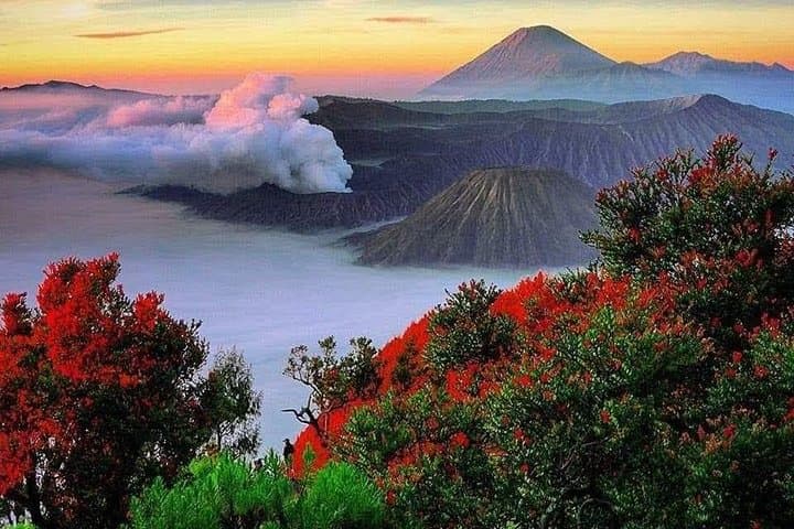 Private Tour : Bromo Ijen Tour From Bali — photo 1 of 9