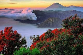 Private Tour : Bromo Ijen Tour From Bali