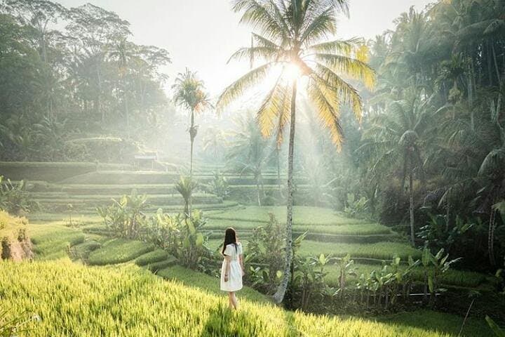 Full-day ubud private tour - monkey forest - waterfall - free wifi — photo 1 of 19
