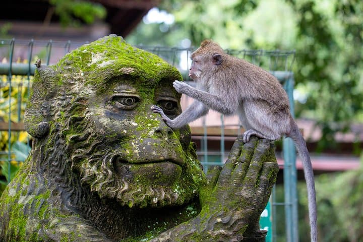 Half Day Ubud Tour: Ubud Unique Spots — photo 1 of 9