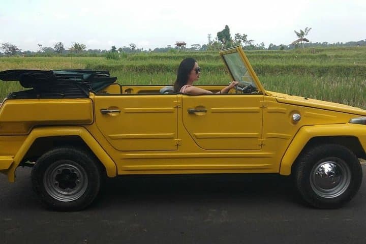 Safari style tour in Bali Island — photo 1 of 5