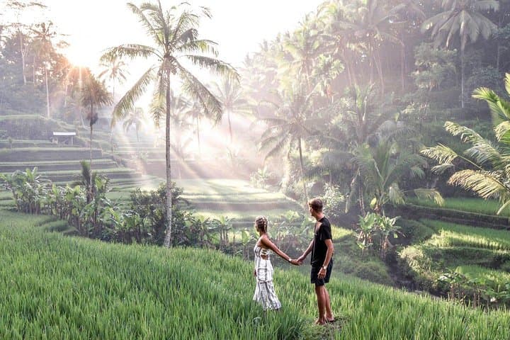 Le Meilleur d'Ubud avec Guide Francophone: Cascade, Rizière, Temple, Café Tour — photo 1 of 6