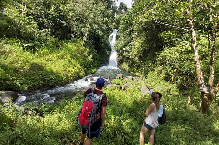 Bali Most Scenic Waterfalls Trekking — photo 1 of 11