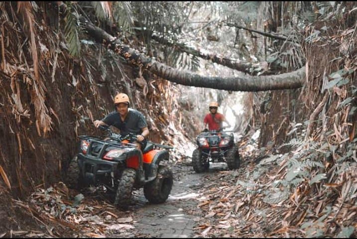 Bali Wild Jungle Expedition: Jungle Hopper & Quad ATV Adventure — photo 1 of 8