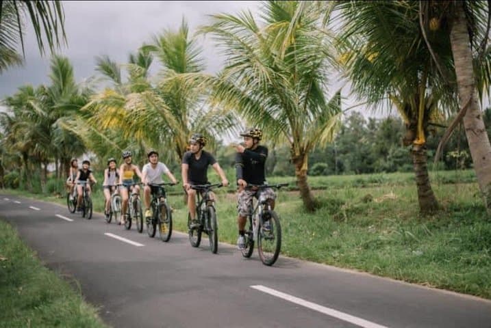 Ubud Bliss: Village Cycling and Jungle Swing Adventure — photo 1 of 7