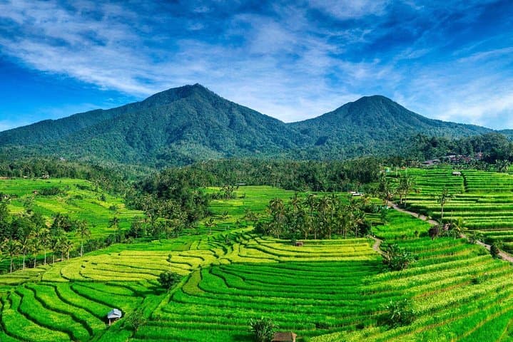 Tanah Lot - JatiLuwih (UNESCO) - Ulun Danu Temple - Wanagiri Hill — photo 1 of 8