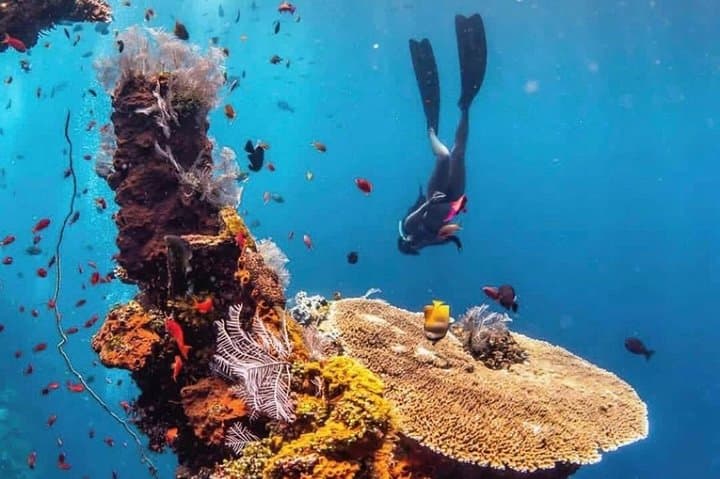 All Inclusive Bali Scuba Diving at Tulamben with Lunch -Transport — photo 1 of 20