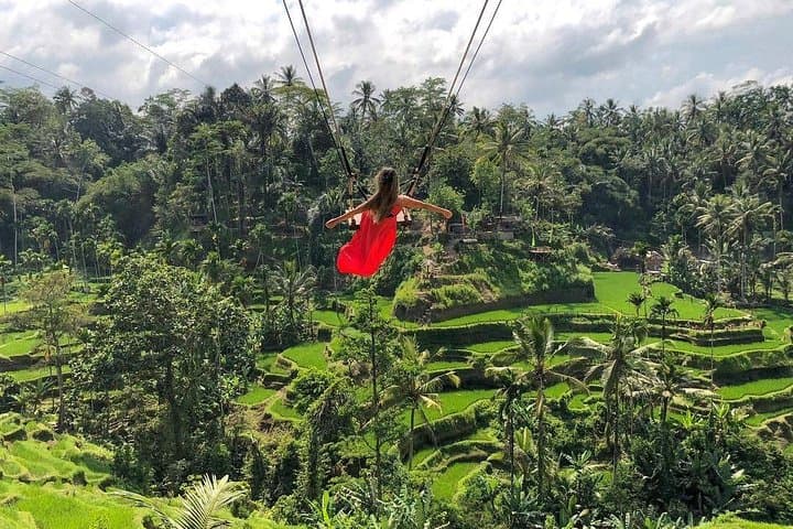 Rice Terrace and Bali Swing Tour — photo 1 of 18
