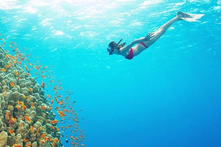 Bali Snorkeling At Blue Lagoon With Personal Guide — photo 1 of 6