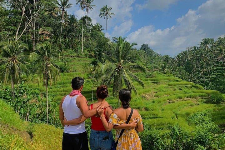 Combinasion Bali Elephant Ride And Ubud Tour — photo 1 of 5