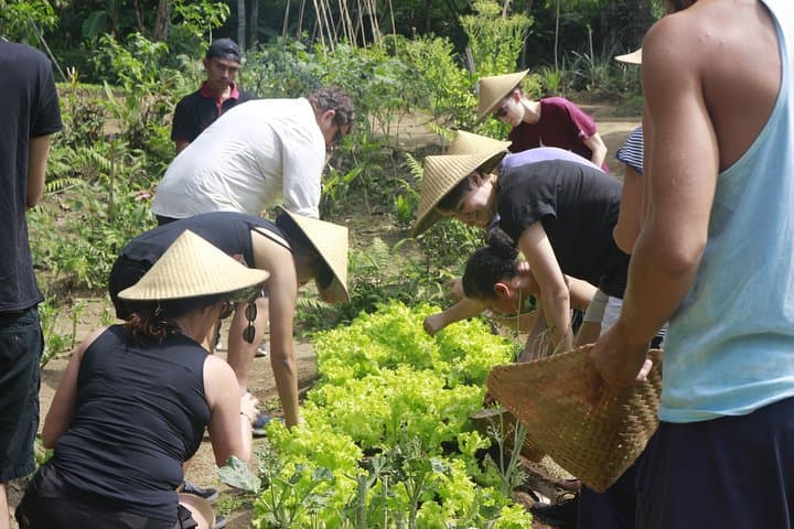 From Ubud: Authentic Bali Farm Cooking School & Organic Farm — photo 1 of 28