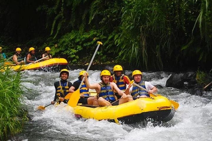 Telagawaja Rafting & East of Bali Tour — photo 1 of 4